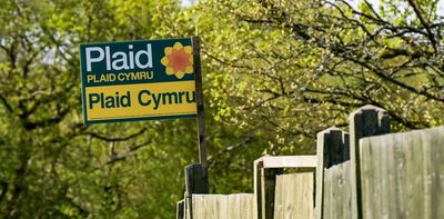 Wales is looking at a huge shake-up in the Senedd – so why are voters so disenchanted?