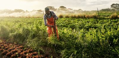 No water, no crops: irrigation schemes could be a powerful way for South Africa’s smallholder farmers to adapt to climate change