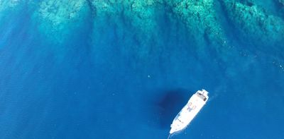 Massive marine heatwave caused Caribbean coral reefs to collapse much faster than predicted – new research