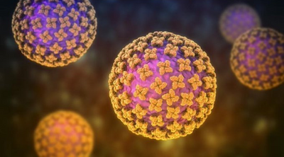 Hantavirus Outbreak Spreading: How Worried Should You Really Be?
