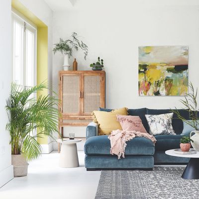 Sorry, regular dusters, this is the only tool I’m using to dust my house this hay fever season – and it’s cleaning expert-approved, too
