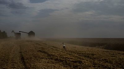 Kyiv slams Egypt for accepting Russian‑shipped grain stolen from Ukraine
