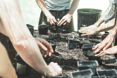 The “Hardening Off” Mistake That Leads to Transplant Failure
