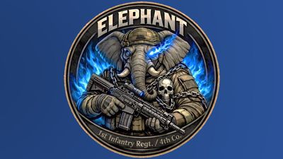 'Embarrassing,' 'Shameless', 'Pathetic': Military logo scrapped after fierce backlash