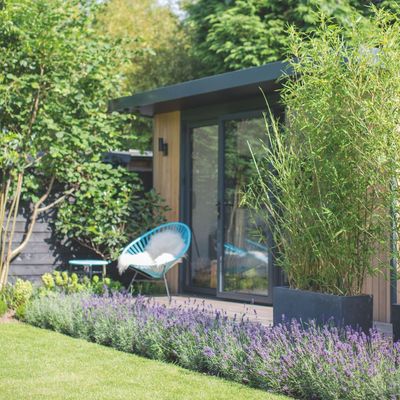 6 alternatives to bamboo for privacy that won’t take over your garden – these non-invasive planting choices will stay firmly in bounds and provide dense screening