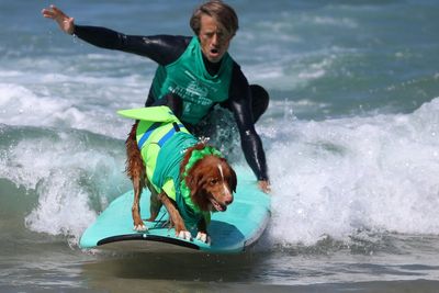 Experts share the best ways to help your dog live longer