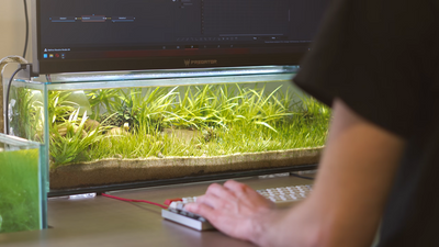 YouTuber makes the most of the unused space beneath their monitors with custom desktop aquarium with actual fish in it
