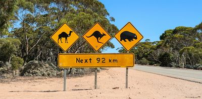 Crashes involving animals spike in winter. Here’s how to avoid them