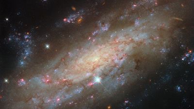 Clusters of bright blue stars and glowing red gas clouds steal the show in this new Hubble image of a glittering galaxy that stopped me in my tracks