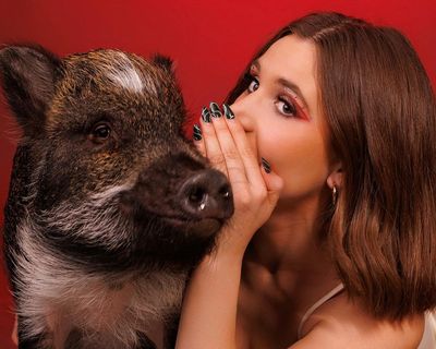 The pet I’ll never forget: Merlin the sassy pig, who helped me meet my husband