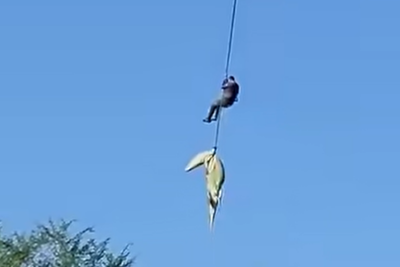 Giant Crocodile Airlifted by Helicopter: Bizarre Video Went Viral as Human Remains and Six Shoes Found Inside