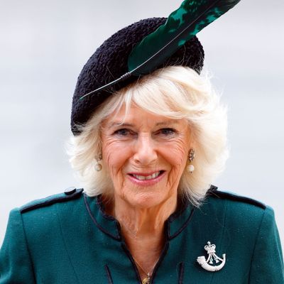 Royal Biographer Says This Unlikely Member of the Royal Family Has Been “Reborn” in Queen Camilla