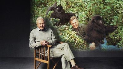 How to watch 'Making Life on Earth: Attenborough's Greatest Adventure' online from anywhere