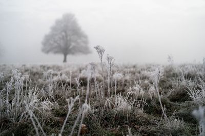 Britain shivers through coldest May night in five years as more unsettled weather on way