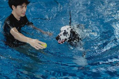 Why Consistency Matters More Than Tricks to Train Your Pet