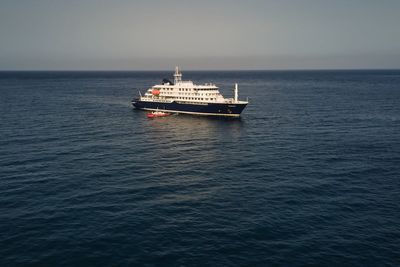 Hantavirus strain capable of human transmission found in cruise ship passengers