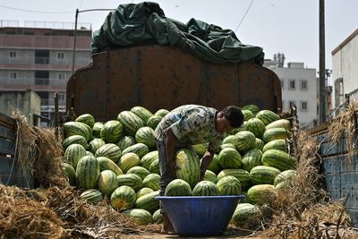 Family of four in India die mysteriously after eating watermelon