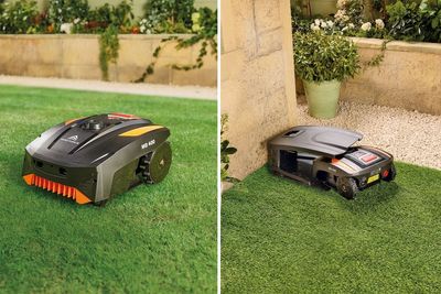 A robot lawn mower for less than £200? Aldi’s latest launch is set to sell out quickly