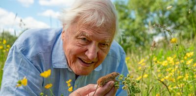 As David Attenborough turns 100, four experts explore his legacy, from science to storytelling