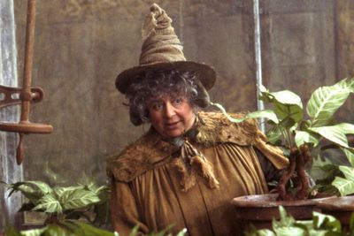 Miriam Margolyes admits she’s made almost 10 times her Harry Pottery salary on Cameo