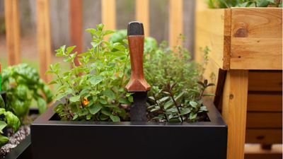 This Double Head Hori Hori Knife is a Gardening All Rounder – It Even Makes Weeding Feel Easy