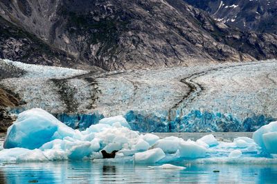 Alaska’s 2025 mega tsunami highlights risk to cruise lines as glaciers retreat