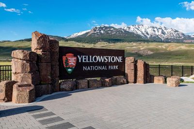 Two hikers injured in US bear attack on Yellowstone trail