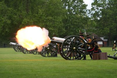 Gun salute marks anniversary of King’s coronation – after ducklings guided away