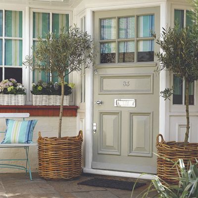 B&M is selling huge olive trees at a bargain price – they’ll instantly give your patio a Mediterranean glow up on a budget