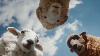 Hugh Jackman's The Sheep Detectives Reviews Have As Many 'Baaaad' Sheep Puns As You Might Guess, And You Gotta Catch 'Em All