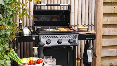 Watch out, Traeger – Napoleon’s new griddle has three burners and tons of cooking space