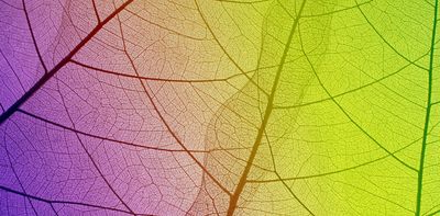 Introducing The Conversation Climate Poetry Award – for UK-based academics