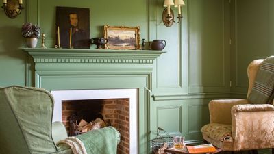 Farrow & Ball's Calke Green Is One of the Most Timeless Green Paints You Can Choose – 'It Subtly Draws the Outside In, Without Feeling Too Literal'