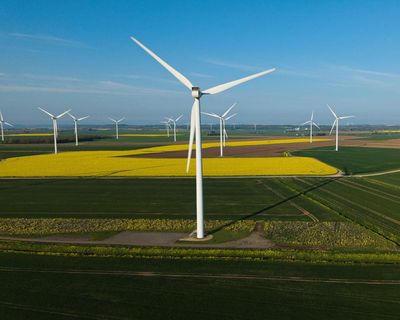 ‘Climate solutions will bring down bills and restore nature’: green issues and May elections