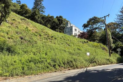 California landowners who cut 38 trees in Oakland hills hit with $915,000 fine