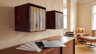 Clean, smart and nicely priced – vinyl storage never looked so good