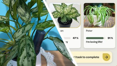 ‘Eva Green is not vibing with her surroundings’ — can these smart sensors help me keep my houseplants alive?