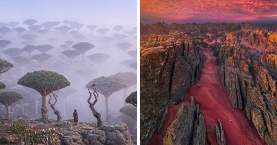 58 Unbelievable Photos Taken On Earth That Feel Like Glimpses Into Another Universe