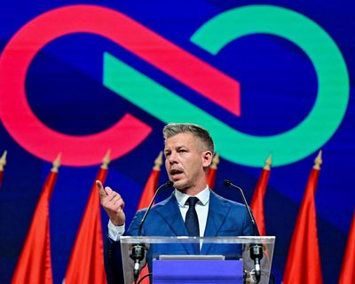 New Hungarian PM’s voters want action on climate and LGBTQ+ rights, poll finds