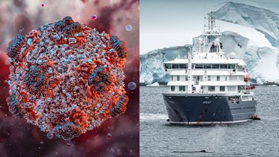 How Concerned Should We Be About The Hantavirus? The Deadly Cruise Ship Outbreak, Explained