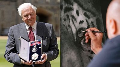 'David Attenborough Effect': Meet the wildlife artists inspired by the legendary broadcaster