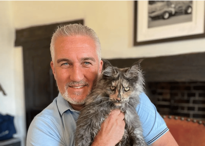 Paul Hollywood caught speeding at 100mph to 'get sick cat to the vet': 'He was bullying other cars'