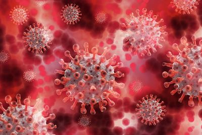 Cruise Ship Hantavirus Outbreak Sends Three Passengers To Hospitals And Sparks A New Case In Switzerland