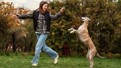 Why Your Dog Acts Crazy When You Come Home
