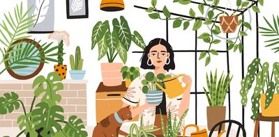 Can houseplants really purify the air in your home? What the science actually says