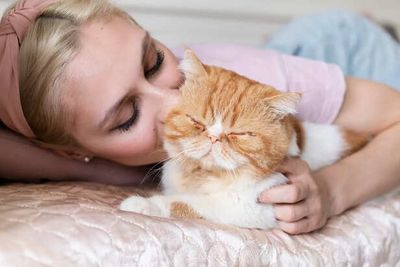 Why Cats Act Distant but Secretly Love You, Science Explains