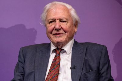 David Attenborough would rather ‘be at home all day’ than go to live 100th birthday party, says colleague