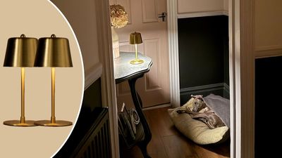 I underestimated the impact of these rechargeable lamps in my home – here's what I've learnt