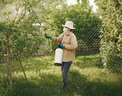 Pesticide Exposure Could Raise Your Cancer Risk by 150%—New Study Warns