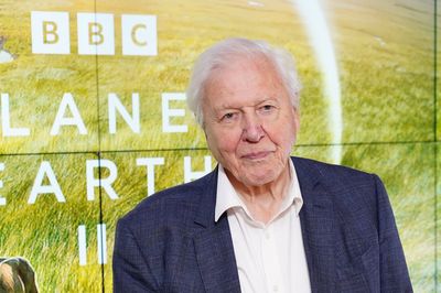 Sir David Attenborough ‘completely overwhelmed’ by birthday greetings